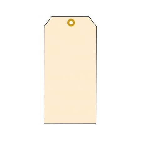 Accuform MANILA BLANK CARDSTOCK 2 34 X 1 TBB100P TBB100P